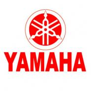 YAM TOURS